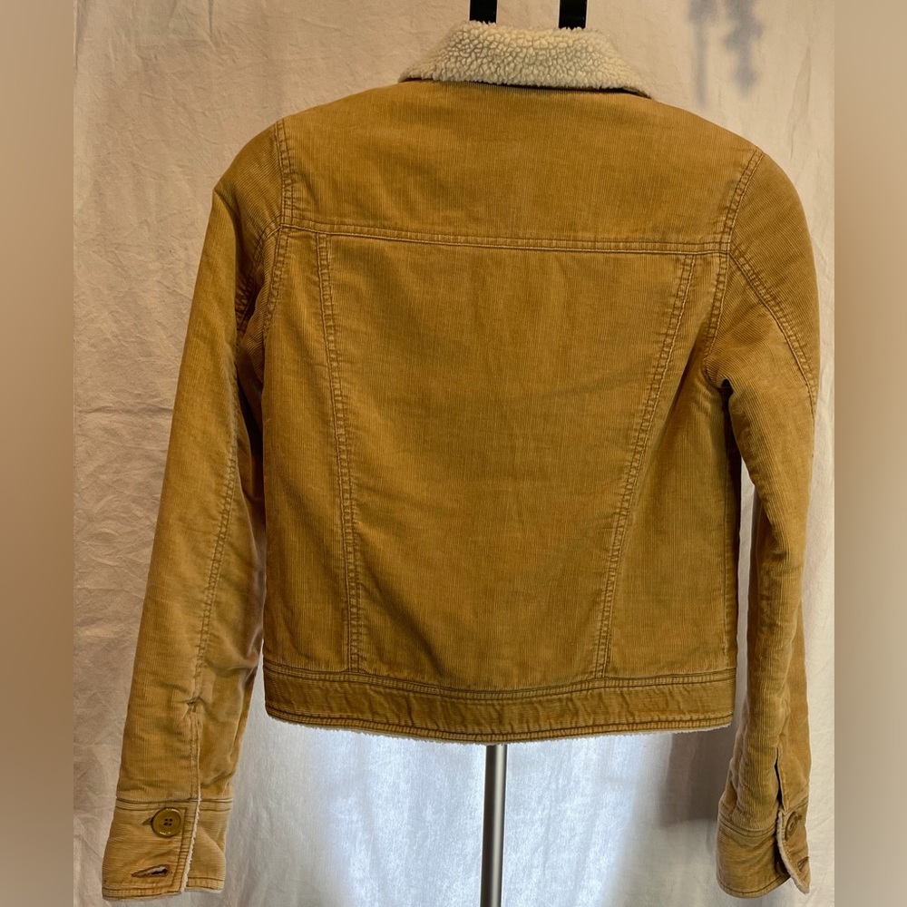 Vintage Hollister Corduroy Jacket W/Fleece Lining, Waist Length, Tan, Medium - Picture 6 of 8